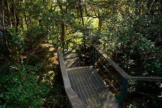 Chowder Bay to Balmoral walking path, Sydney