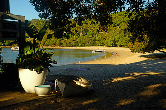 Chowder Bay to Balmoral walking path, Sydney