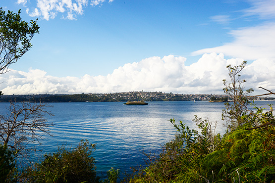 Bradleys Head to Chowder Bay Walk, Sydney