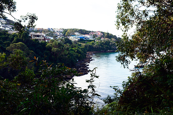 Bradleys Head to Chowder Bay Walk, Sydney