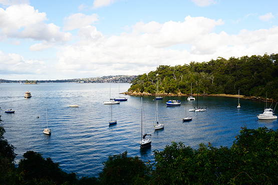 Bradleys Head to Chowder Bay Walk, Sydney