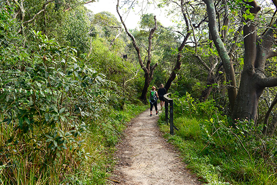 Bradleys Head to Chowder Bay Walk, Sydney