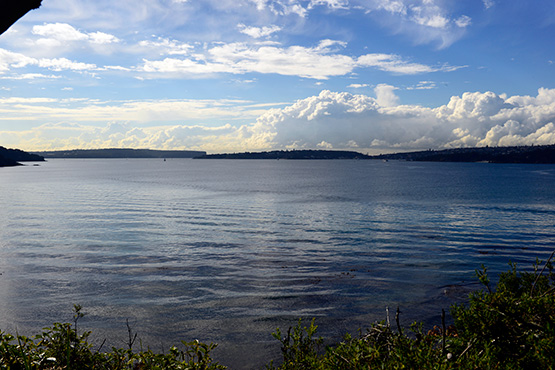 Bradleys Head to Chowder Bay Walk, Sydney