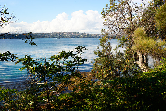 Bradleys Head to Chowder Bay Walk, Sydney