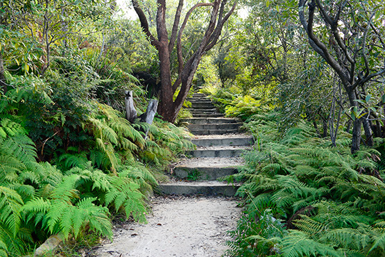 Bradleys Head to Chowder Bay Walk, Sydney