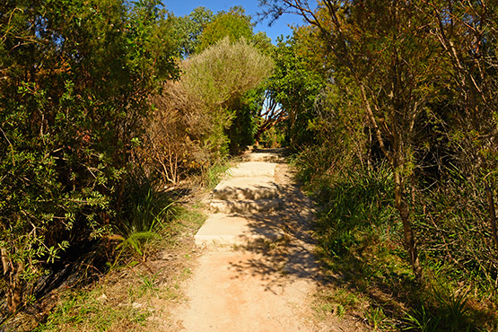 Chowder Bay to Balmoral Beach walk