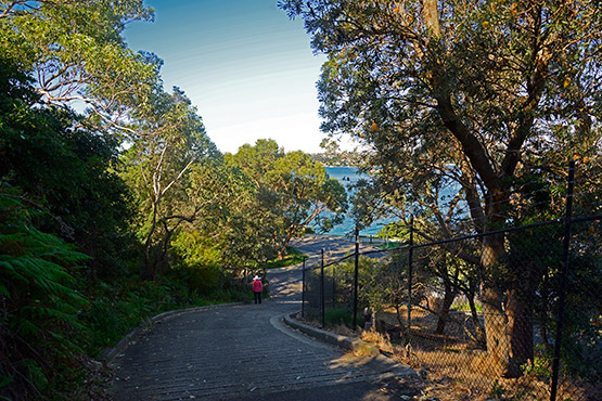 Chowder Bay to Balmoral Beach walk