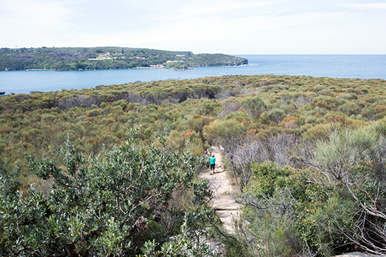 Dobroyd Heads Lookout Track, Sydney
