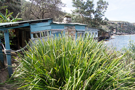 Wooden hut at Crater Cove, Sydney