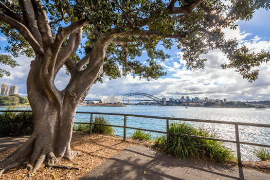 Sydney Harbour vista