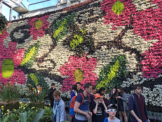 City workers enjoy their lunctime break in the Sydney Royal Botanic Gardens