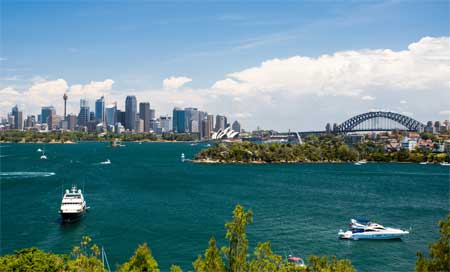 Sydney Harbour panorama